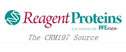 Reagentproteins